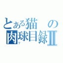 とある猫の肉球目録Ⅱ（？）