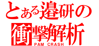 とある邉研の衝撃解析（ＰＡＭ　ＣＲＡＳＨ）