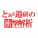 とある邉研の衝撃解析（ＰＡＭ　ＣＲＡＳＨ）