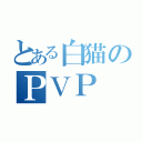 とある白猫のＰＶＰ（）