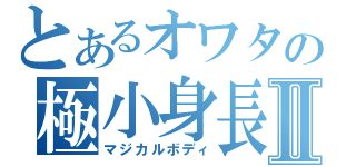 とあるオワタの極小身長Ⅱ（マジカルボディ）