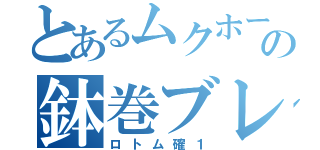 とあるムクホークの鉢巻ブレバ（ロトム確１）