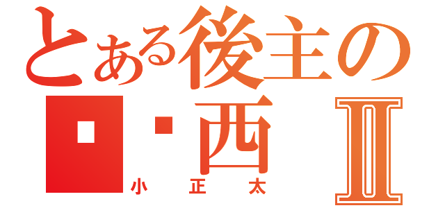 とある後主の卡卡西Ⅱ（小正太）