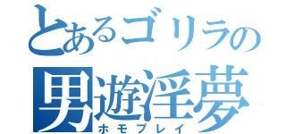 とあるゴリラの男遊淫夢（ホモプレイ）