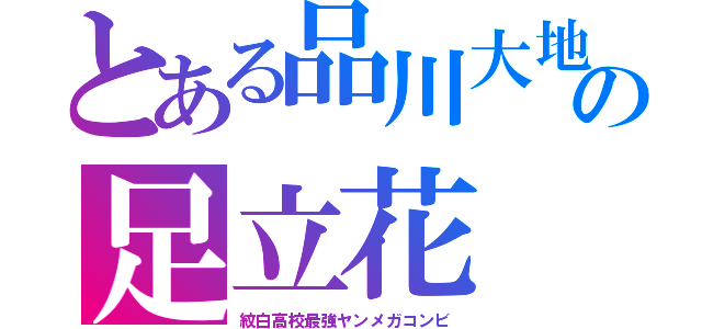 とある品川大地の足立花（紋白高校最強ヤンメガコンビ）