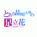 とある品川大地の足立花（紋白高校最強ヤンメガコンビ）