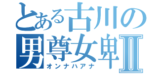 とある古川の男尊女卑Ⅱ（オンナハアナ）