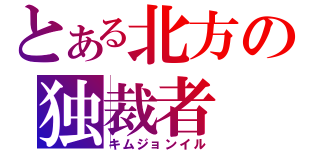 とある北方の独裁者（キムジョンイル）