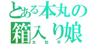 とある本丸の箱入り娘（大包平）