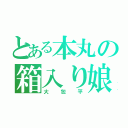 とある本丸の箱入り娘（大包平）