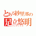 とある紗里那の足立悠明（インデックス）