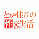 とある佳音の性交生活（セックスライフ）