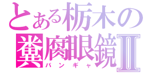 とある栃木の糞腐眼鏡Ⅱ（バンギャ）