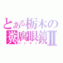 とある栃木の糞腐眼鏡Ⅱ（バンギャ）