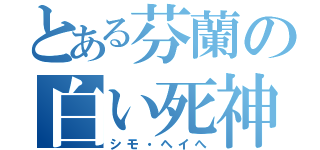 とある芬蘭の白い死神（シモ・ヘイへ）