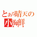 とある晴天の小海鮮（超可愛）