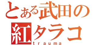 とある武田の紅タラコ（ｔｒａｕｍａ）