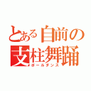 とある自前の支柱舞踊（ポールダンス）