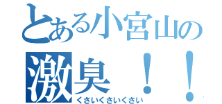 とある小宮山の激臭！！（くさいくさいくさい）