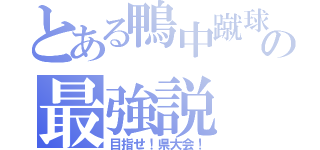 とある鴨中蹴球の最強説（目指せ！県大会！）