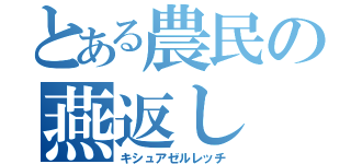 とある農民の燕返し（キシュアゼルレッチ）