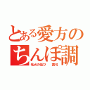 とある愛方のちんぽ調教（牝犬の悦び  真弓）