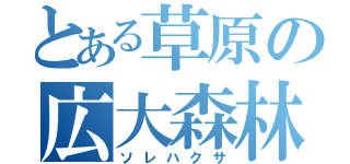 とある草原の広大森林（ソレハクサ）