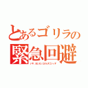 とあるゴリラの緊急回避（いや、まじセンコさんすごいっす）