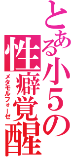 とある小５の性癖覚醒（メタモルフォーゼ）