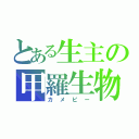 とある生主の甲羅生物（カメピー）