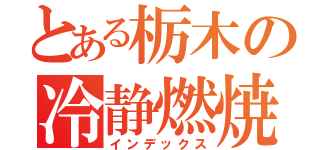 とある栃木の冷静燃焼（インデックス）