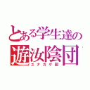 とある学生達の遊汝陰団（ユナカゲ団）