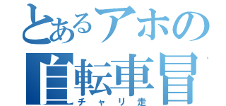 とあるアホの自転車冒険（チャリ走）