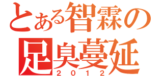 とある智霖の足臭蔓延（２０１２）