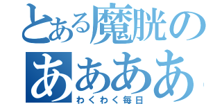 とある魔胱のああああ（わくわく毎日）