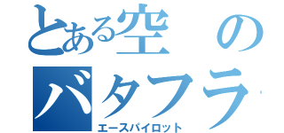 とある空のバタフライ（エースパイロット）