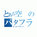 とある空のバタフライ（エースパイロット）