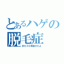 とあるハゲの脱毛症（また３０本抜けたよ）