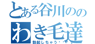 とある谷川ののわき毛達（勃起しちゃう