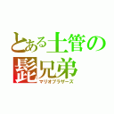 とある土管の髭兄弟（マリオブラザーズ）