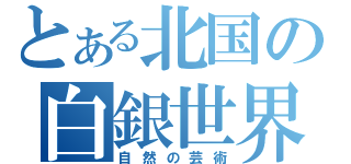 とある北国の白銀世界（自然の芸術）