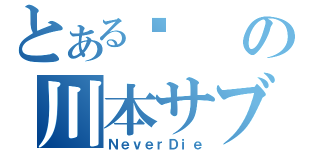 とある喵の川本サブの夜（ＮｅｖｅｒＤｉｅ）