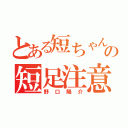 とある短ちゃんの短足注意（野口陽介）