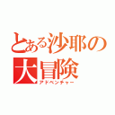 とある沙耶の大冒険（アドベンチャー）