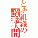 とある組織の改造人間（仮面ライダー）