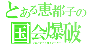 とある恵都子の国会爆破（ジェノサイドセイジーカー）