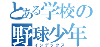 とある学校の野球少年（インデックス）