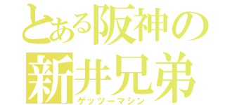 とある阪神の新井兄弟（ゲッツーマシン）