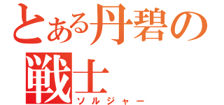 とある丹碧の戦士（ソルジャー）