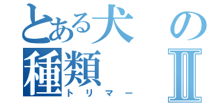 とある犬の種類Ⅱ（トリマー）